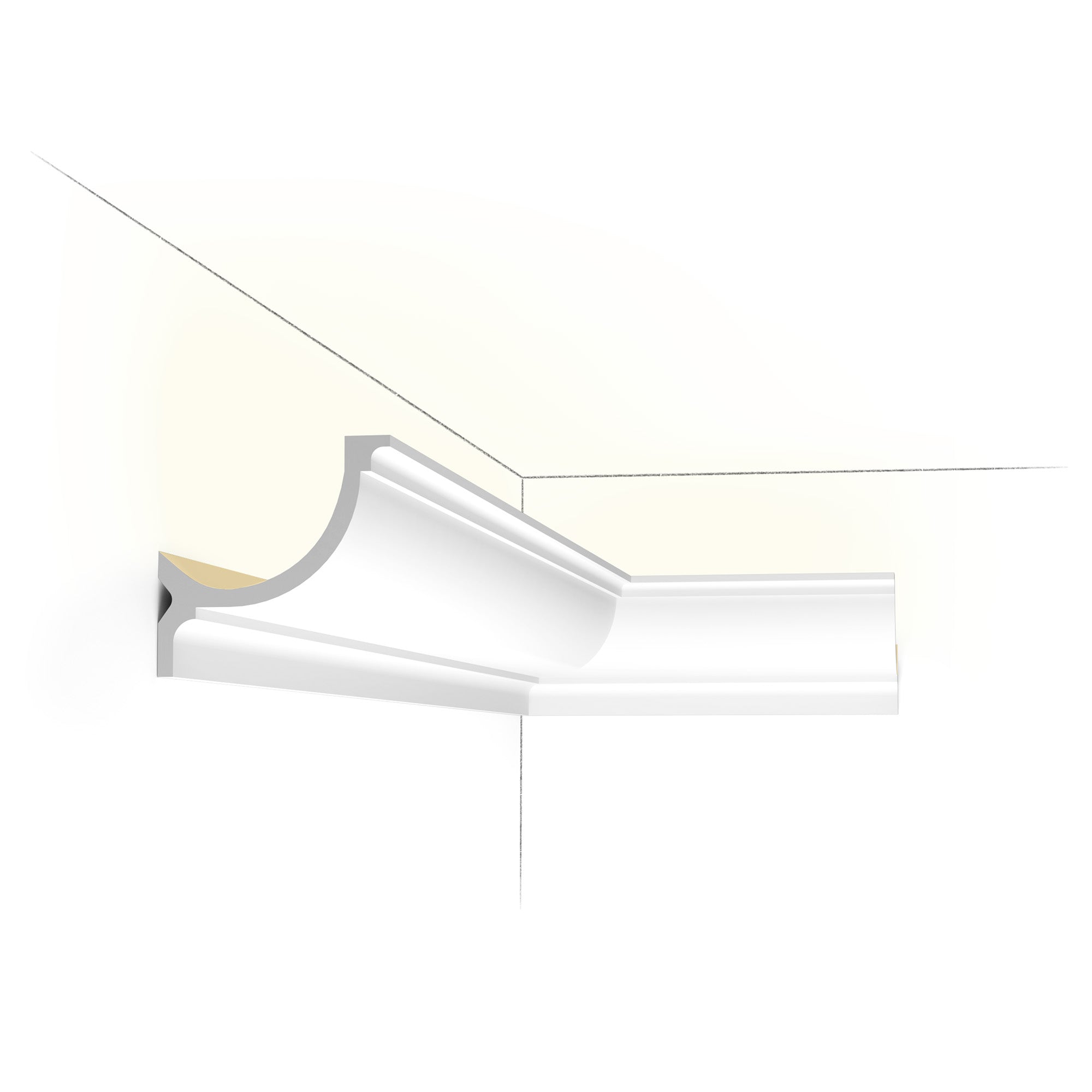 C902 – Image 4