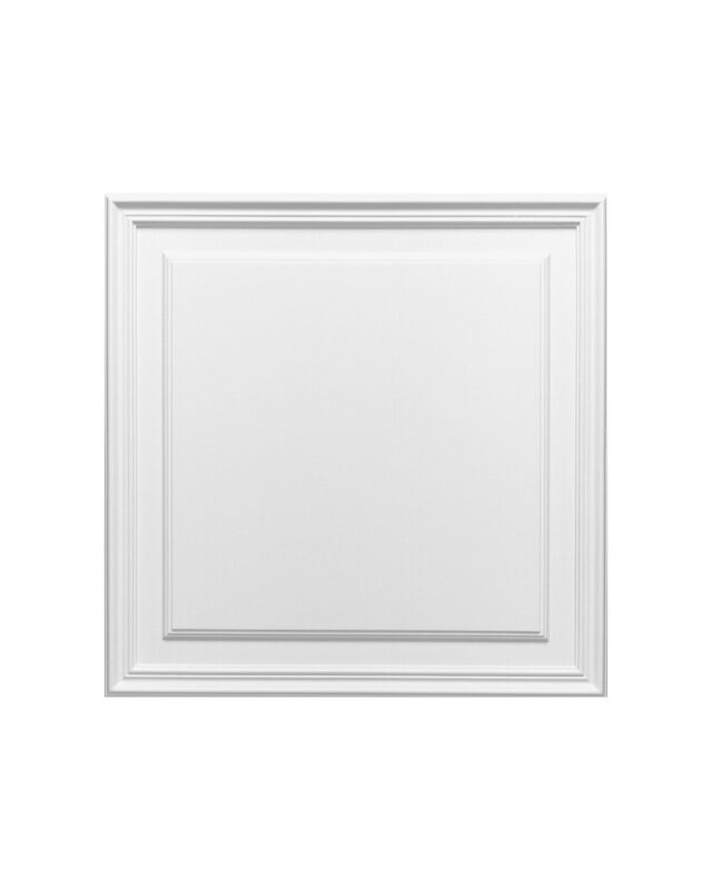 D503